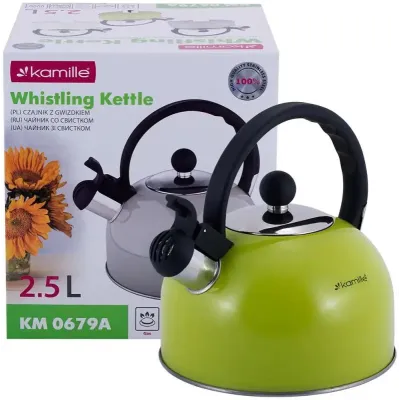 Чайник для плити Young Leaf з нержавіючої сталі 2,5л green Kamille DP262105