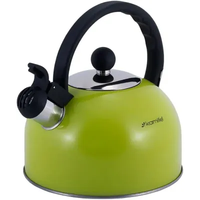 Чайник для плити Young Leaf з нержавіючої сталі 2,5л green Kamille DP262105