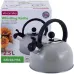 Чайник для плиты Young Leaf из нержавеющей стали 2,5л grey Kamille DP262107