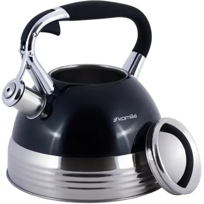 Чайник для плиты  из нержавеющей стали 2,7л blue Kamille DP262111