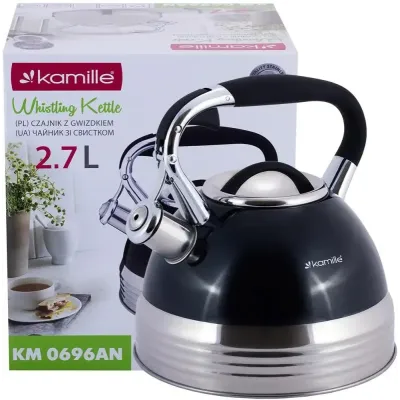 Чайник для плиты  из нержавеющей стали 2,7л blue Kamille DP262111