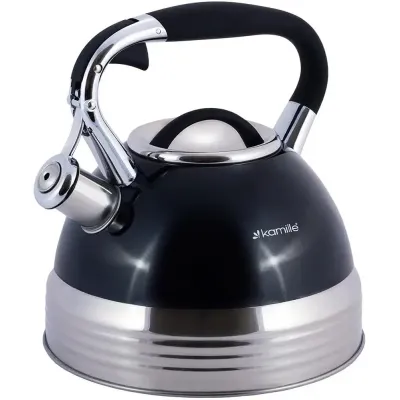 Чайник для плиты из нержавеющей стали 2,7л blue Kamille DP262111 Чайник для плиты из нержавеющей стали 2,7л blue Kamille DP262111