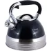 Чайник для плиты  из нержавеющей стали 2,7л blue Kamille DP262111