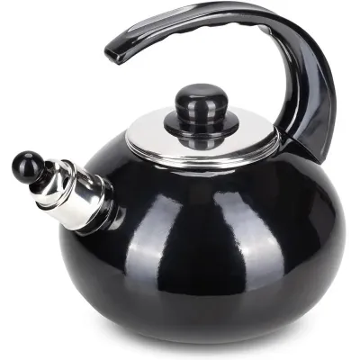 Чайник для плиты Boiling Water 2,5л black Kamille DP262127