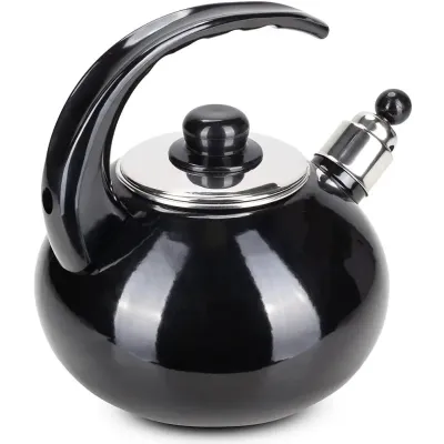 Чайник для плиты Boiling Water 2,5л black Kamille DP262127