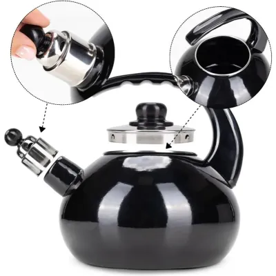 Чайник для плиты Boiling Water 2,5л black Kamille DP262127