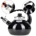 Чайник для плиты Boiling Water 2,5л black Kamille DP262127