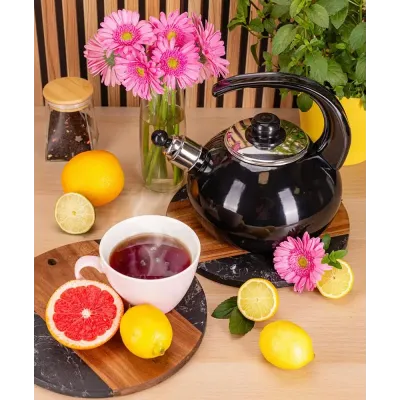 Чайник для плиты Boiling Water 2,5л black Kamille DP262127
