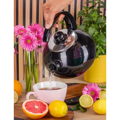 Чайник для плиты Boiling Water 2,5л black Kamille DP262127