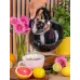 Чайник для плиты Boiling Water 2,5л black Kamille DP262127
