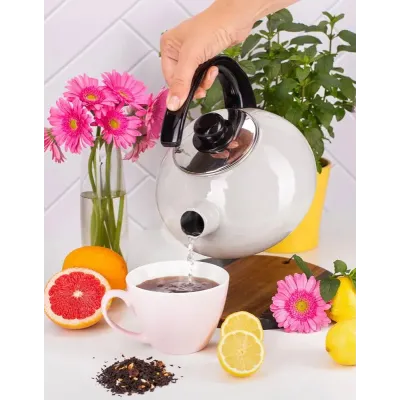 Чайник для плиты Boiling Water 2,5л beige Kamille DP262128 Чайник для плиты Boiling Water 2,5л beige Kamille DP262128