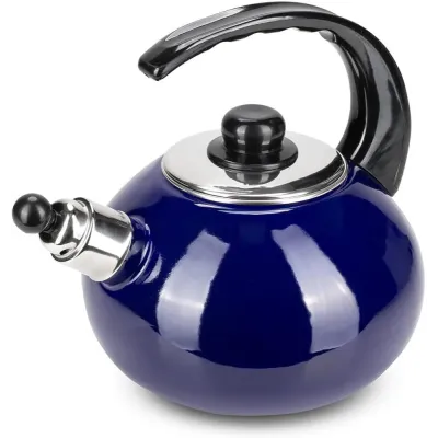 Чайник для плиты Boiling Water 2,5л blue Kamille DP262129