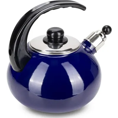 Чайник для плиты Boiling Water 2,5л blue Kamille DP262129