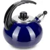 Чайник для плиты Boiling Water 2,5л blue Kamille DP262129
