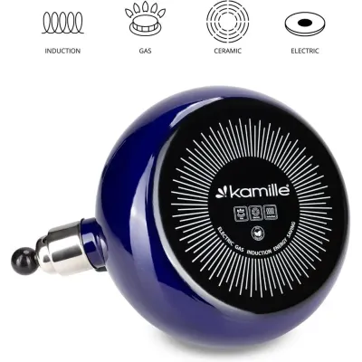 Чайник для плиты Boiling Water 2,5л blue Kamille DP262129