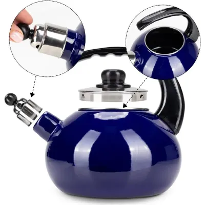 Чайник для плиты Boiling Water 2,5л blue Kamille DP262129