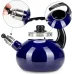 Чайник для плиты Boiling Water 2,5л blue Kamille DP262129