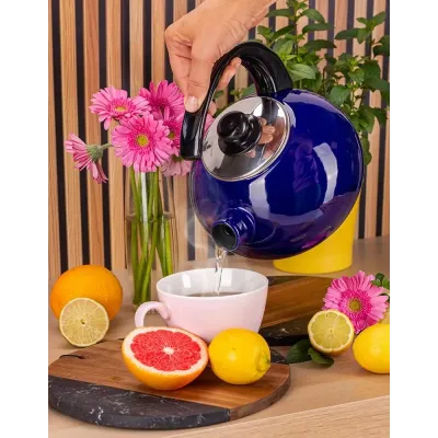 Чайник для плиты Boiling Water 2,5л blue Kamille DP262129