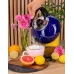 Чайник для плиты Boiling Water 2,5л blue Kamille DP262129