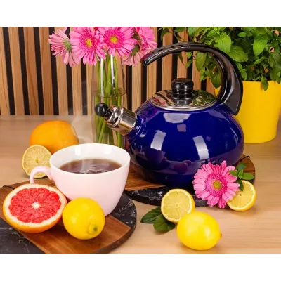 Чайник для плиты Boiling Water 2,5л blue Kamille DP262129