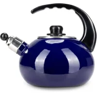 Чайник для плиты Boiling Water 2,5л blue Kamille DP262129