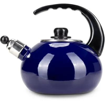 Чайник для плиты Boiling Water 2,5л blue Kamille DP262129