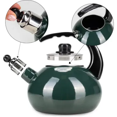 Чайник для плиты Boiling Water 2,5л green Kamille DP262130 Чайник для плиты Boiling Water 2,5л green Kamille DP262130
