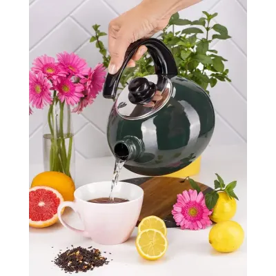 Чайник для плиты Boiling Water 2,5л green Kamille DP262130 Чайник для плиты Boiling Water 2,5л green Kamille DP262130