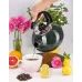 Чайник для плиты Boiling Water 2,5л green Kamille DP262130 Чайник для плиты Boiling Water 2,5л green Kamille DP262130