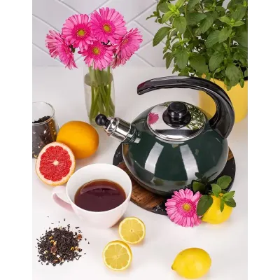 Чайник для плиты Boiling Water 2,5л green Kamille DP262130 Чайник для плиты Boiling Water 2,5л green Kamille DP262130
