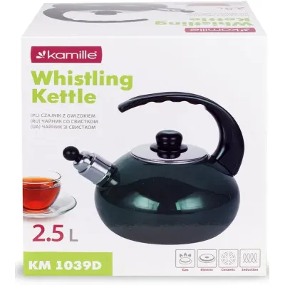 Чайник для плиты Boiling Water 2,5л green Kamille DP262130 Чайник для плиты Boiling Water 2,5л green Kamille DP262130