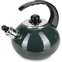 Чайник для плити Boiling Water 2,5л green Kamille DP262130 Чайник для плити Boiling Water 2,5л green Kamille DP262130