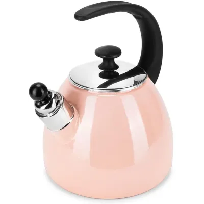 Чайник для плиты Boiling Water 2,5л pink Kamille DP262132