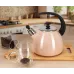 Чайник для плиты Boiling Water 2,5л pink Kamille DP262132