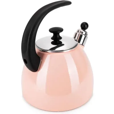Чайник для плиты Boiling Water 2,5л pink Kamille DP262132