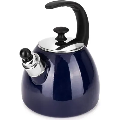 Чайник для плити Boiling Water 2,5л blue Kamille DP262134 Чайник для плити Boiling Water 2,5л blue Kamille DP262134