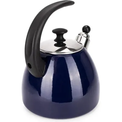 Чайник для плити Boiling Water 2,5л blue Kamille DP262134 Чайник для плити Boiling Water 2,5л blue Kamille DP262134