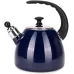 Чайник для плити Boiling Water 2,5л blue Kamille DP262134