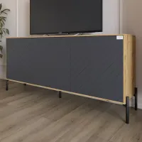 Тумба Lion Амарант 168x40x76.5 см Дуб Артізан/Графітовий (LION-043005)