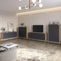Комплект меблів для вітальні Lion Амарант 4 елементи Дуб Аппалачі/Графітовий (LION-042356) Комплект меблів для вітальні Lion Амарант 4 елементи Дуб Аппалачі/Графітовий (LION-042356)