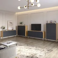 Комплект меблів для вітальні Lion Амарант 4 елементи Дуб Артізан/Графітовий (LION-042357)