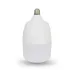 Лампа светодиодная Lightwell LW-TB-40W (301042)
