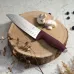 Набор ножей Berlinger Haus Matte Leonardo Collection 4 шт Бордовый (BH-2958)