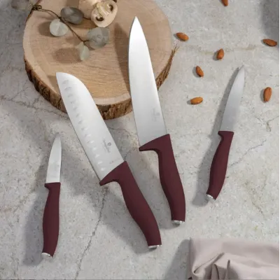Набор ножей Berlinger Haus Matte Leonardo Collection 4 шт Бордовый (BH-2958)