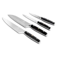 Набір ножів Berlinger Haus Matte Black Collection 4 шт Чорний (BH-3135)
