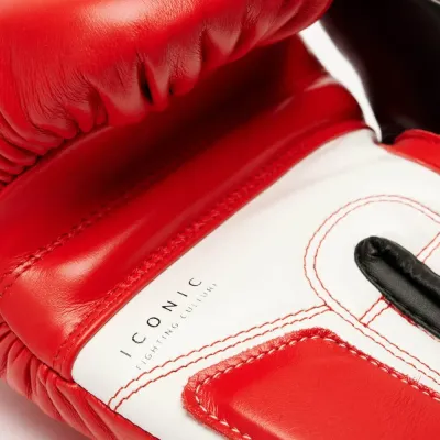 Боксерські рукавички Leone GN208 Iconic Red 14 унцій (GN208_Red_14oz) Боксерські рукавички Leone GN208 Iconic Red 14 унцій (GN208_Red_14oz)