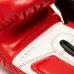 Боксерські рукавички Leone GN208 Iconic Red 14 унцій (GN208_Red_14oz) Боксерські рукавички Leone GN208 Iconic Red 14 унцій (GN208_Red_14oz)