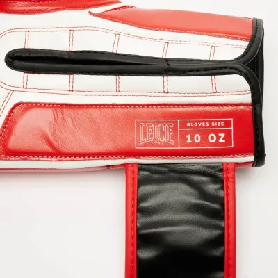 Боксерські рукавички Leone GN208 Iconic Red 14 унцій (GN208_Red_14oz) Боксерські рукавички Leone GN208 Iconic Red 14 унцій (GN208_Red_14oz)