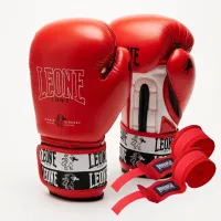 Боксерські рукавички Leone GN208 Iconic Red 14 унцій (GN208_Red_14oz)