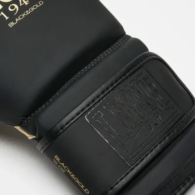 Боксерские перчатки Leone GN059D Black Gold 16 унций (GN059D_Bl/Gold_16oz)